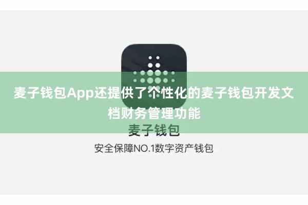 麦子钱包App还提供了个性化的麦子钱包开发文档财务管理功能