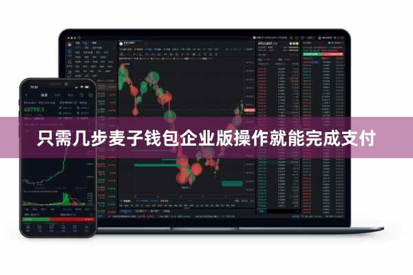只需几步麦子钱包企业版操作就能完成支付