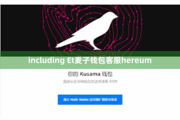 including Et麦子钱包客服hereum