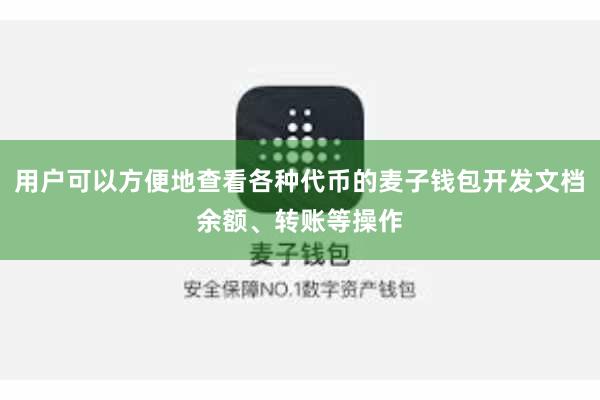 用户可以方便地查看各种代币的麦子钱包开发文档余额、转账等操作
