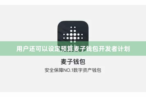 用户还可以设定预算麦子钱包开发者计划