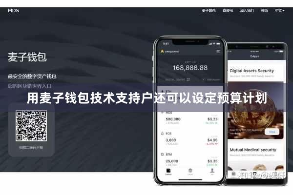 用麦子钱包技术支持户还可以设定预算计划