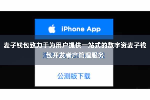麦子钱包致力于为用户提供一站式的数字资麦子钱包开发者产管理服务