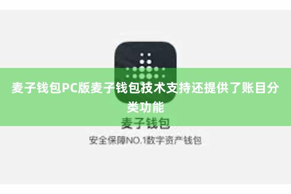 麦子钱包PC版麦子钱包技术支持还提供了账目分类功能