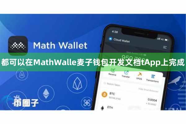 都可以在MathWalle麦子钱包开发文档tApp上完成