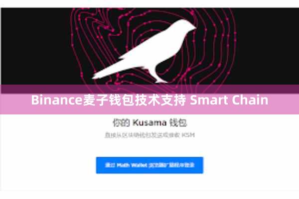 Binance麦子钱包技术支持 Smart Chain