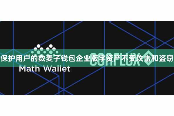 保护用户的数麦子钱包企业版字资产不受攻击和盗窃