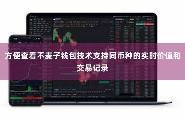 方便查看不麦子钱包技术支持同币种的实时价值和交易记录