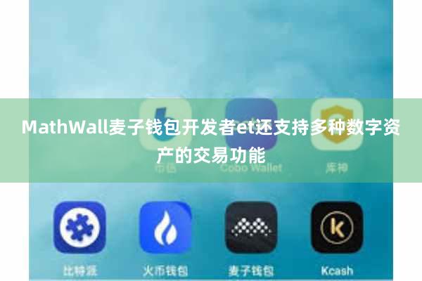 MathWall麦子钱包开发者et还支持多种数字资产的交易功能