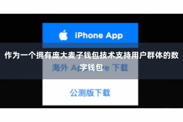 作为一个拥有庞大麦子钱包技术支持用户群体的数字钱包