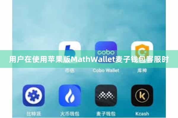 用户在使用苹果版MathWallet麦子钱包客服时