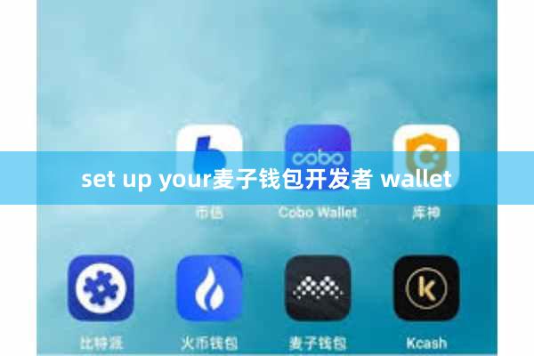 set up your麦子钱包开发者 wallet