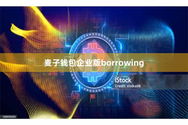 麦子钱包企业版borrowing