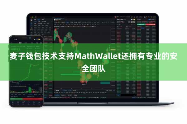 麦子钱包技术支持MathWallet还拥有专业的安全团队