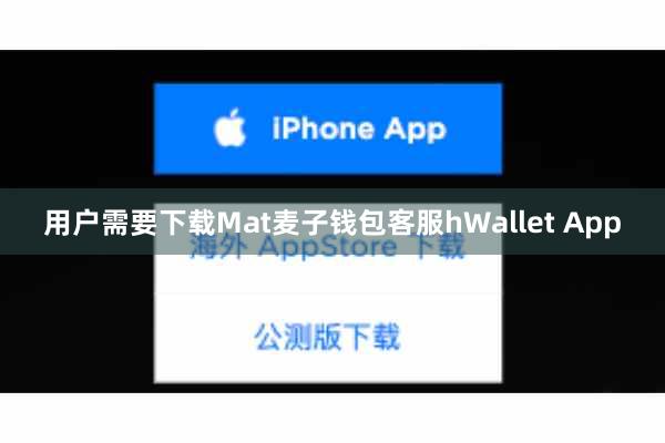 用户需要下载Mat麦子钱包客服hWallet App
