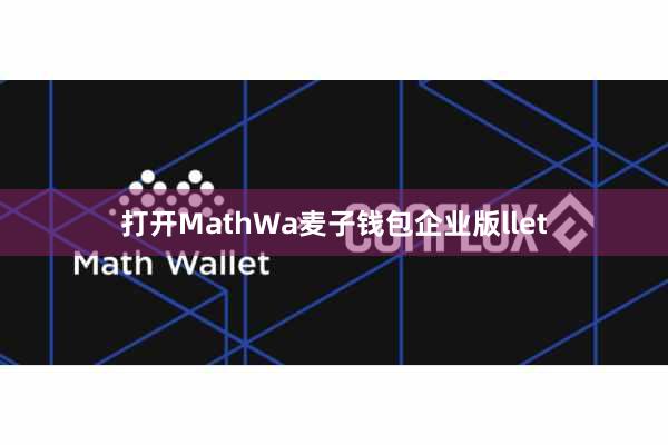 打开MathWa麦子钱包企业版llet