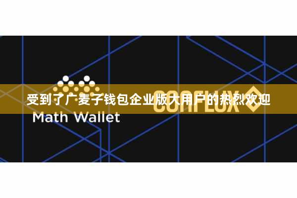 受到了广麦子钱包企业版大用户的热烈欢迎
