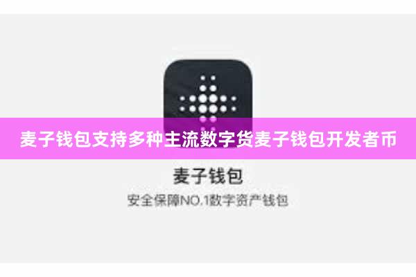 麦子钱包支持多种主流数字货麦子钱包开发者币