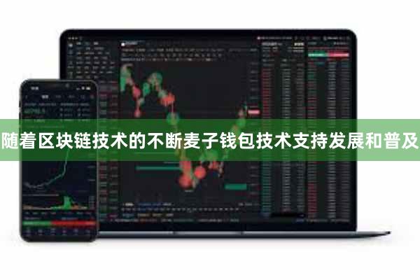 随着区块链技术的不断麦子钱包技术支持发展和普及