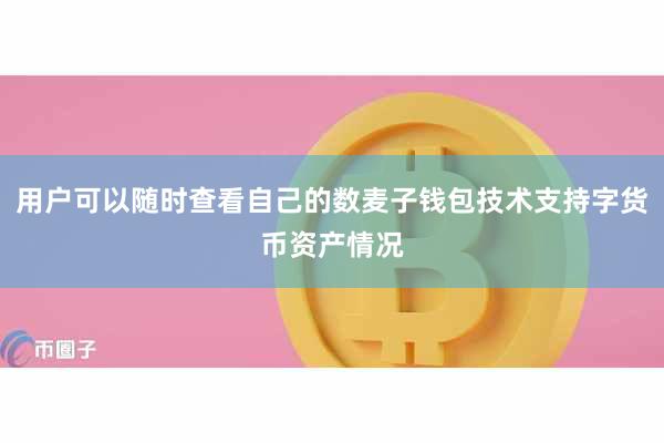 用户可以随时查看自己的数麦子钱包技术支持字货币资产情况