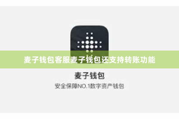 麦子钱包客服麦子钱包还支持转账功能