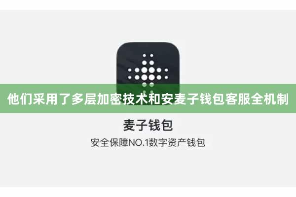 他们采用了多层加密技术和安麦子钱包客服全机制