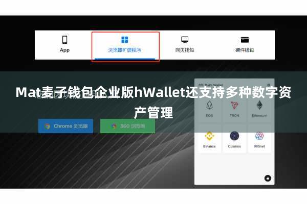 Mat麦子钱包企业版hWallet还支持多种数字资产管理
